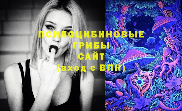 не бодяженный Алексин