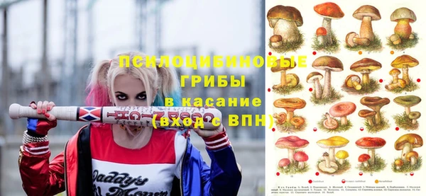 дурь Покачи