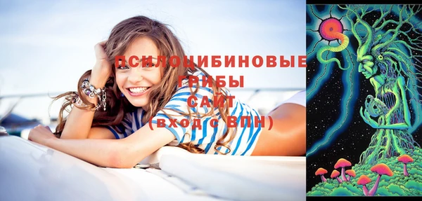не бодяженный Алексин