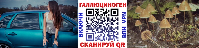 что такое   Липки  Псилоцибиновые грибы Cubensis 